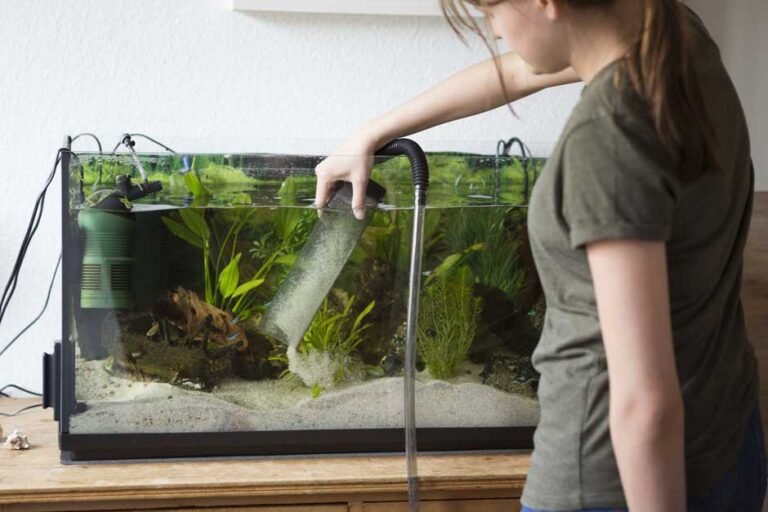 Best Aquarium Vacuum Cleaners