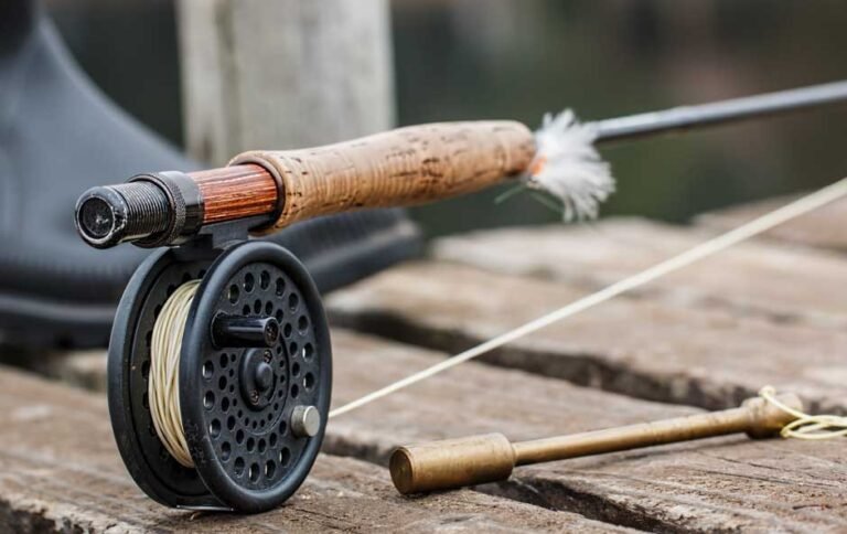 The Importance Of Fly Line Backing In Fishing 