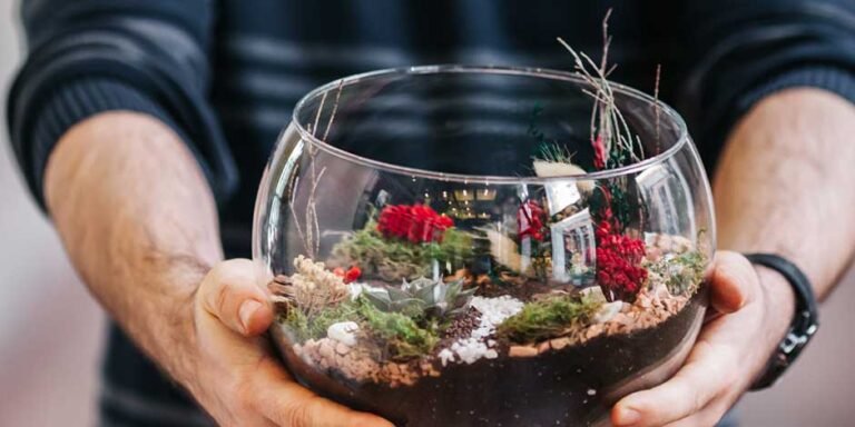 Unique Valentine's Day Gifts for Aquarium Lovers